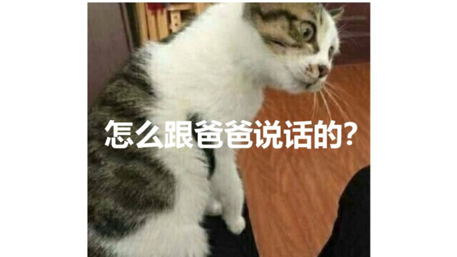 爸 爸 的 沉 默